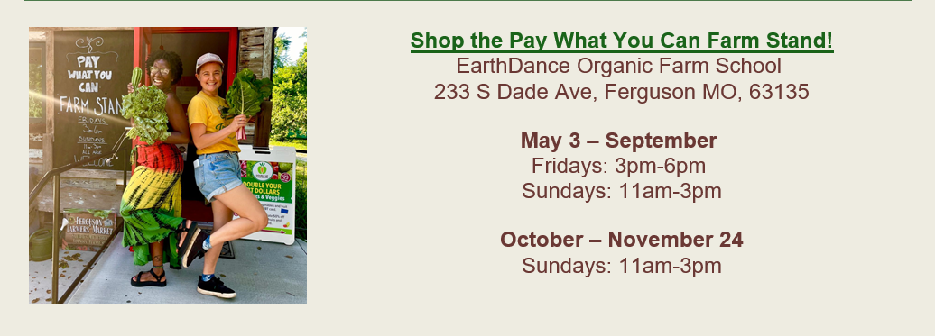 EarthDance 2